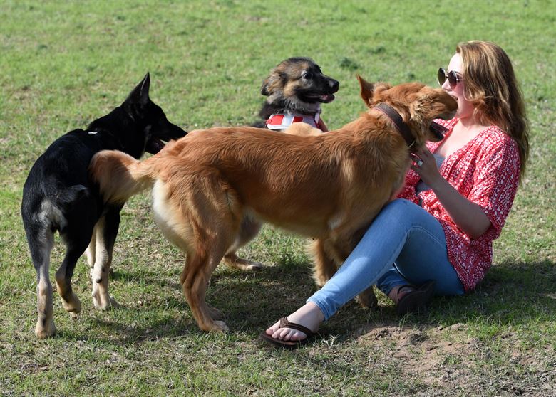 Woman playing with dogs