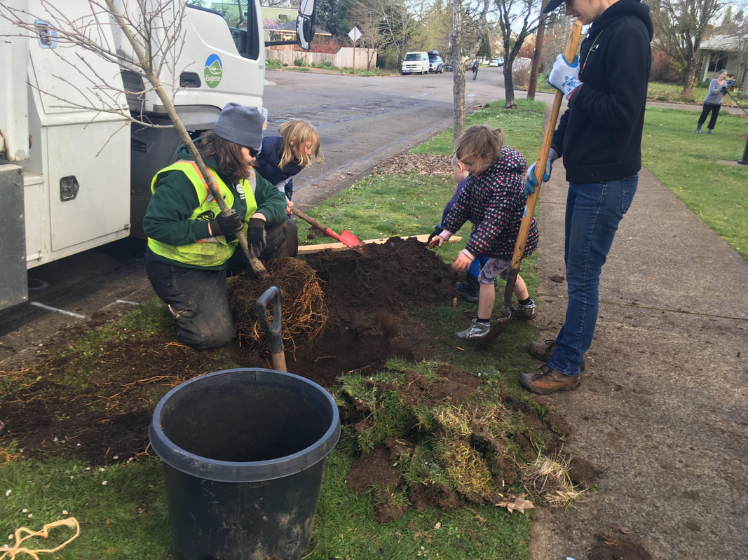Neighbors of all ages plant trees