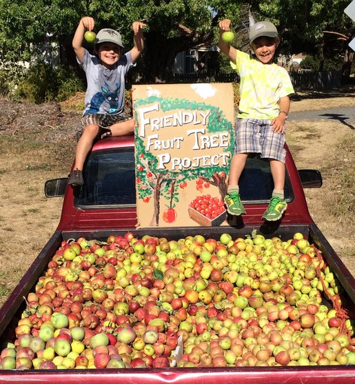 Pickup truck bed filled with apples with two kids sitting on the roof of the cab