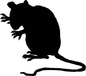 Creepy rat silhouette